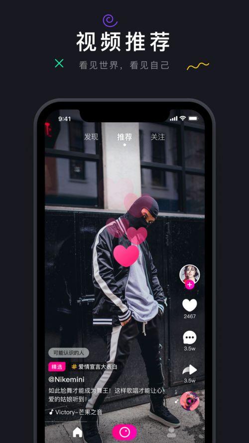 茄子8在线视频,茄子种植与烹饪技巧大公开